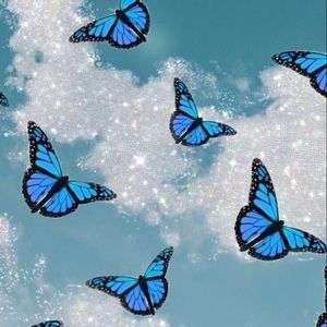 Meet your Posher, 🦋graycin🦋